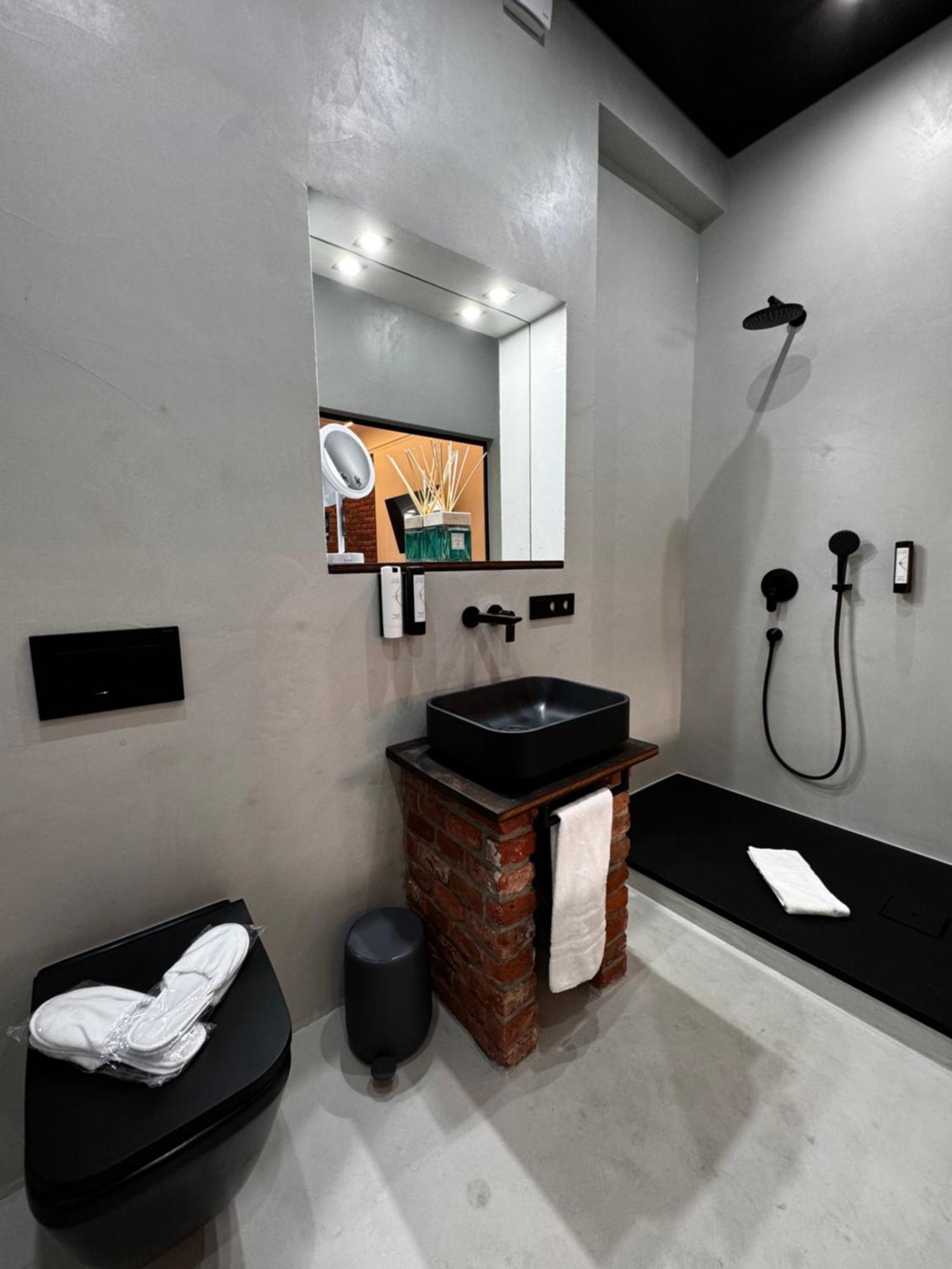 Historical Luxury Homes - Luxus Loft Wallstreet Freiburg im Breisgau Exterior foto
